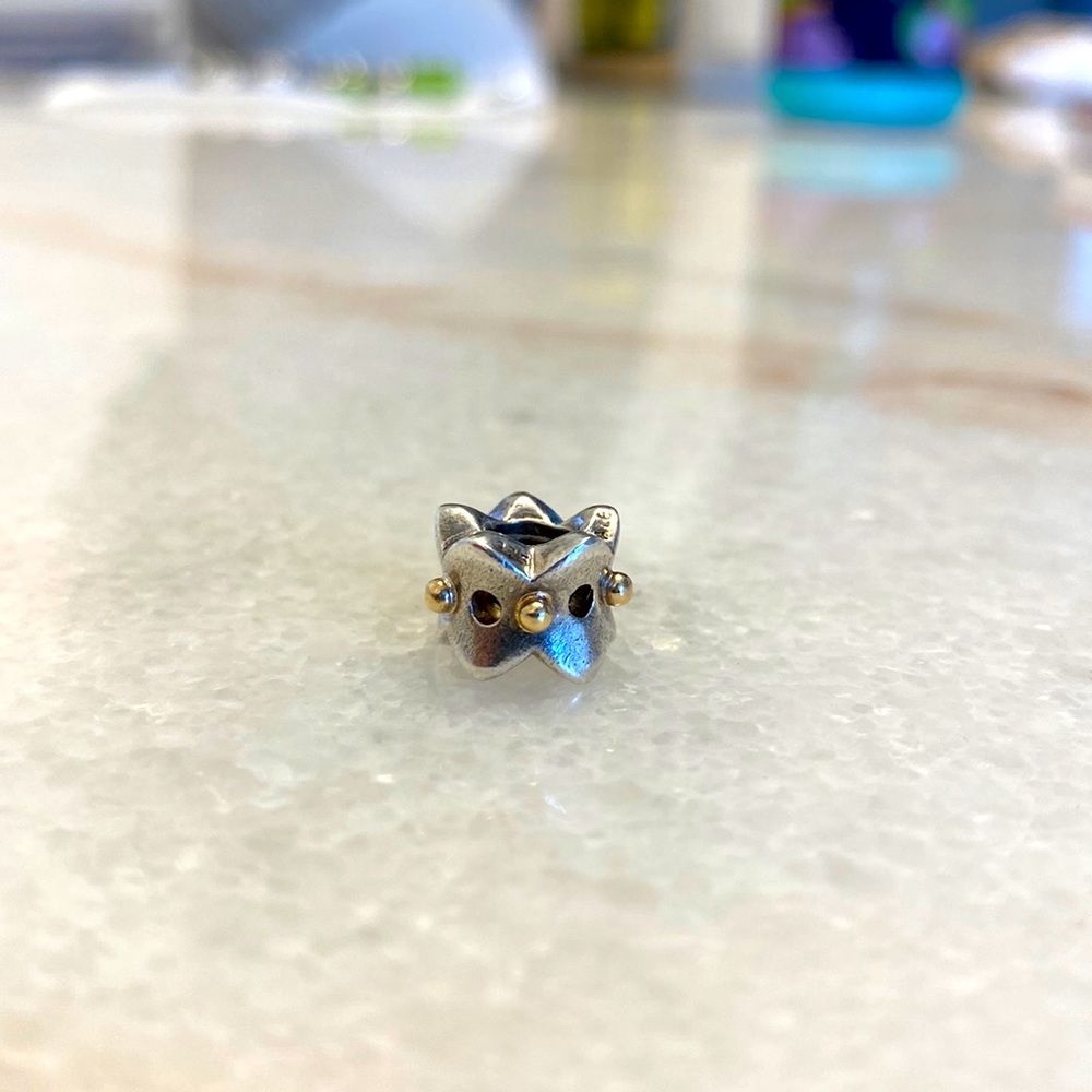 Authentic Pandora Charm